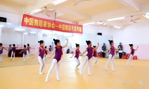 祝贺众艺培训学校2021年中国舞蹈协会考级圆满落幕