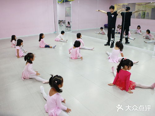 小考拉艺慧学堂漕宝总校 国艺启蒙，智慧成长